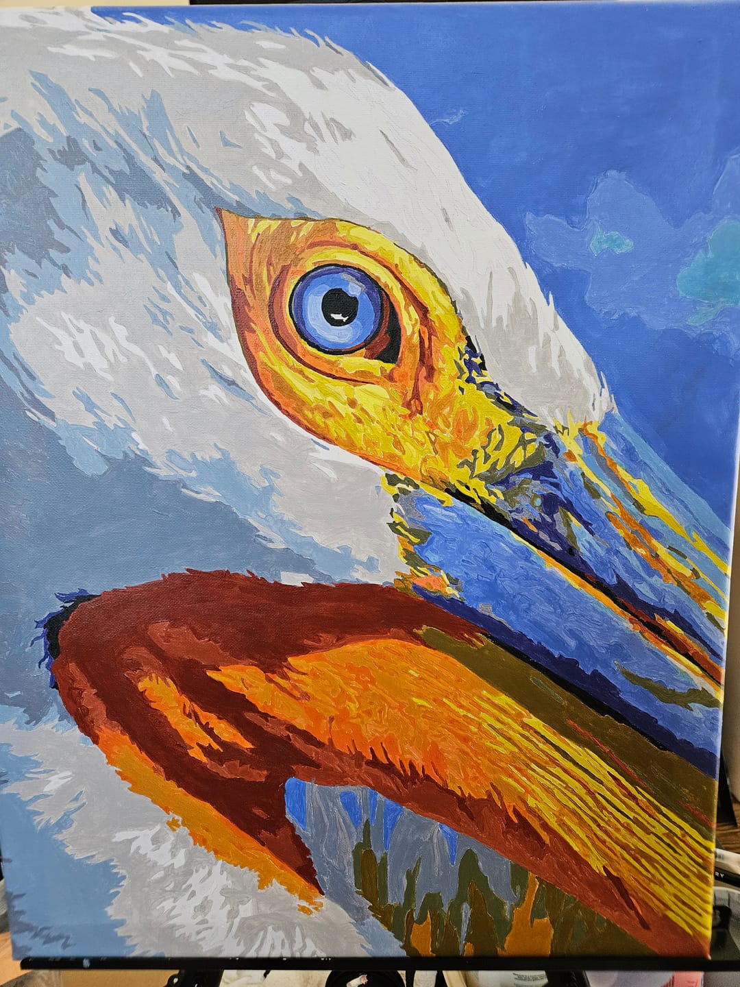 Customer photo review of Pelican Portrait | Paint by Number