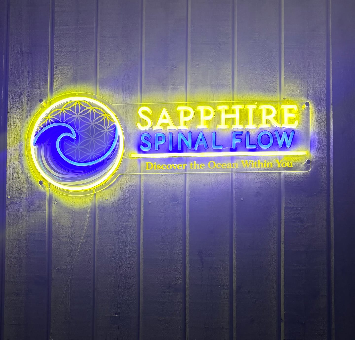 Customer photo review of Sapphire Spinal Flow | LED Neon Sign (Waterproof)
