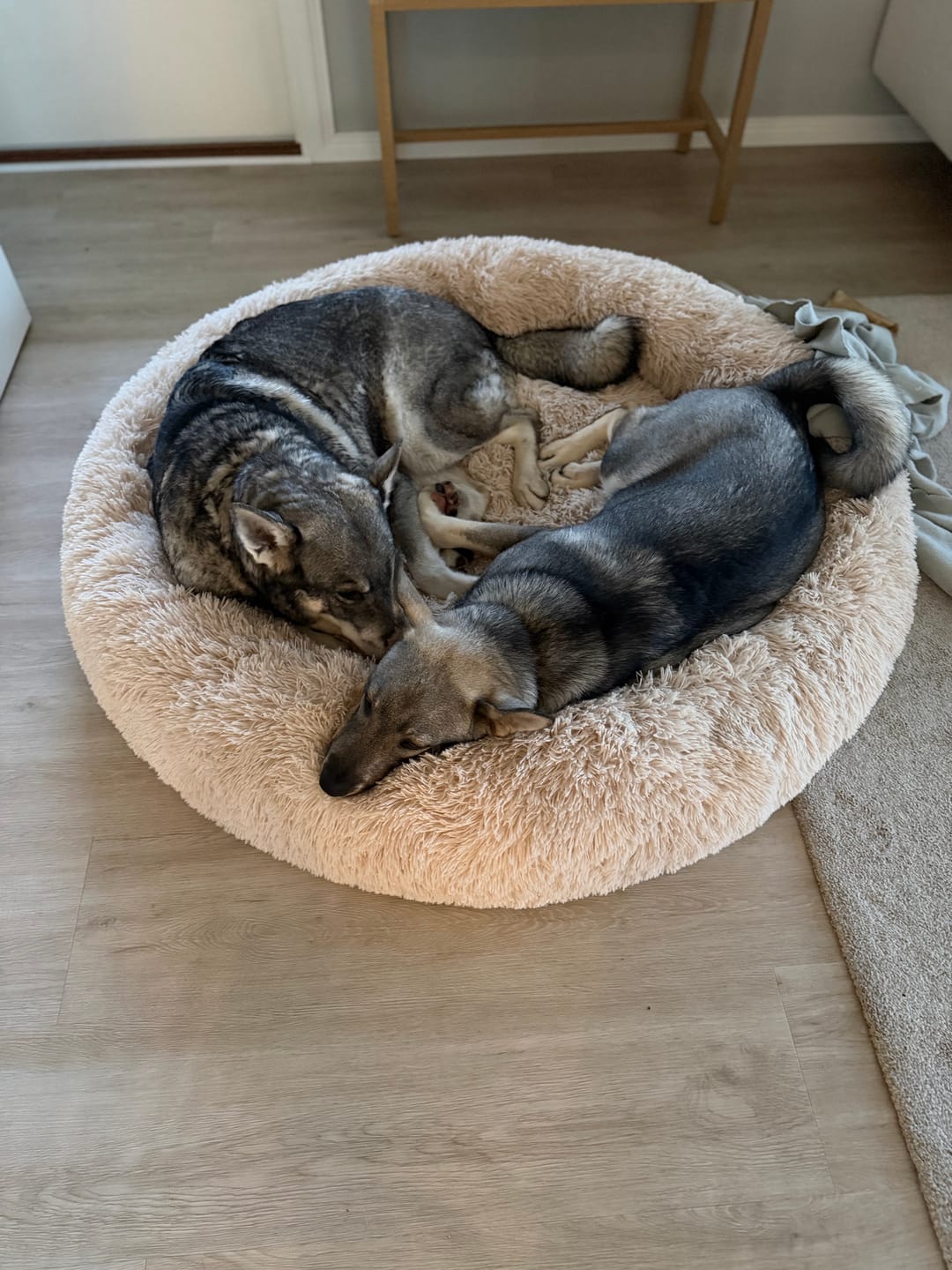 Customer photo review of CalmBed – Ehkäisee stressiä ja lievittää ahdistusta