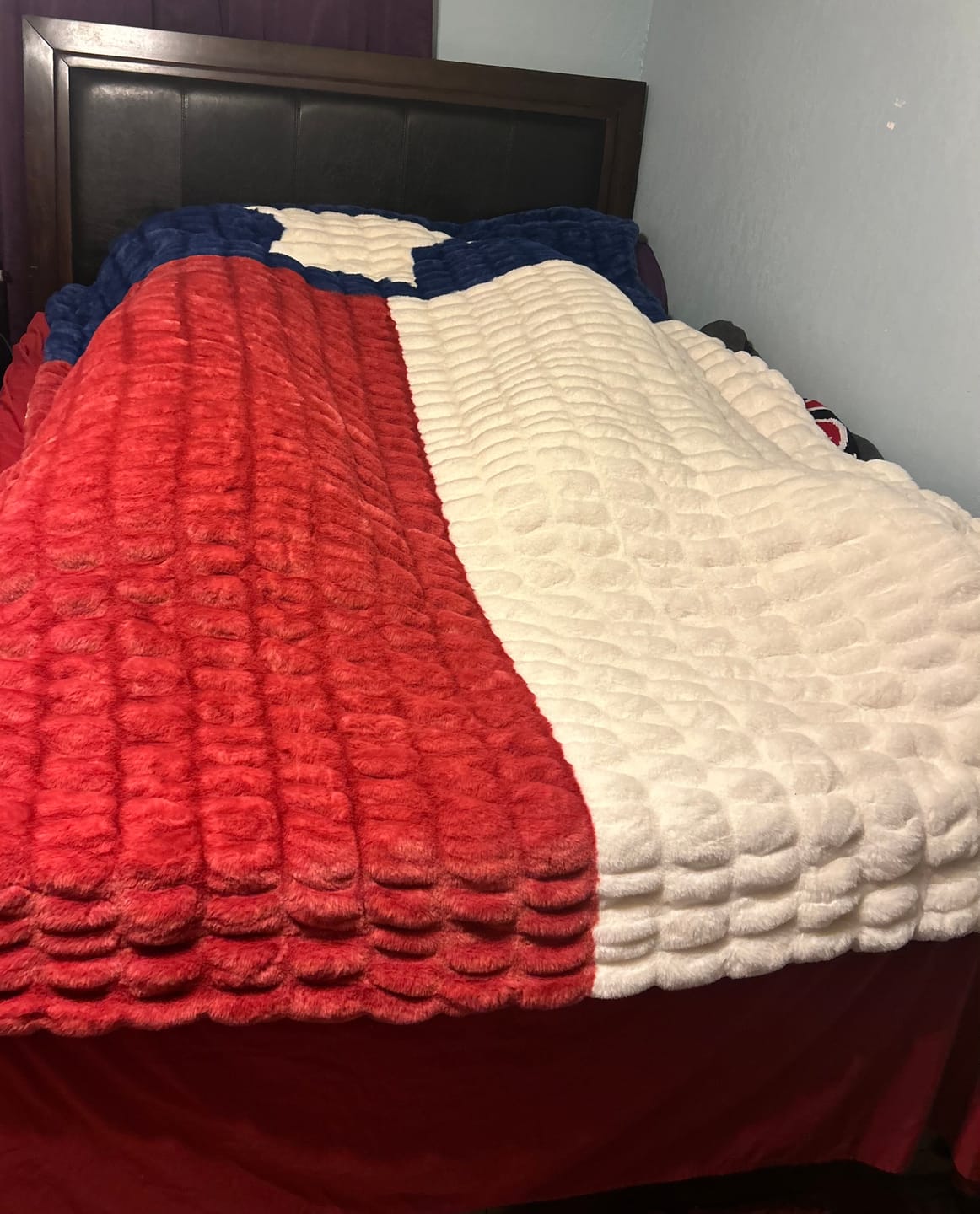 Customer photo review of Hugs Texas Flag Blanket