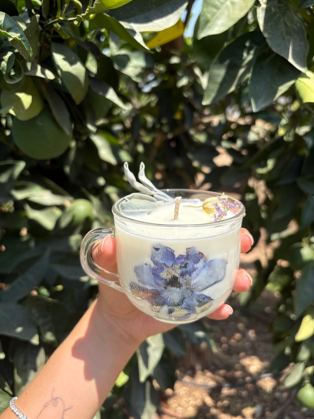 Customer photo review of שעוות סויה טהורה