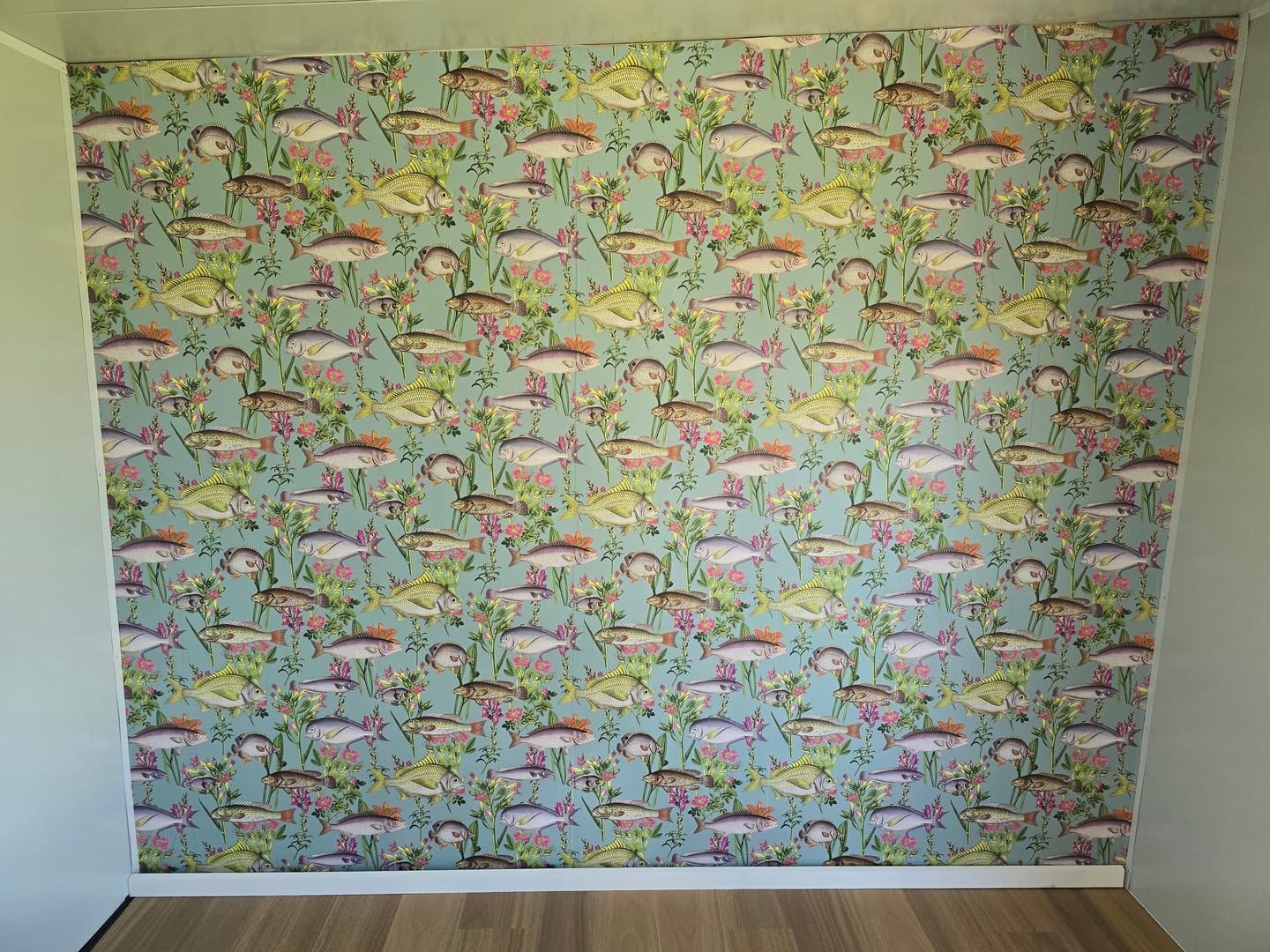 Customer photo review of Lagoon Fish Wallpaper – Teal