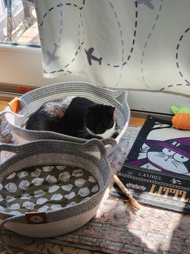 Customer photo review of Effico™ Handgeweven Krabmand voor Katten
