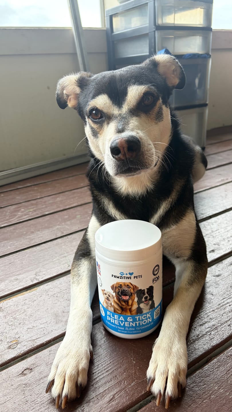 Customer photo review of Dog Flea and Tick Prevention for Outdoor & Seasonal Protection – Skin & Coat Support, 120 Soft Chews (Beef Flavor)