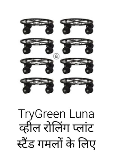 Customer photo review of TryGreen Luna Wheel Rolling Plant Stand for Planters