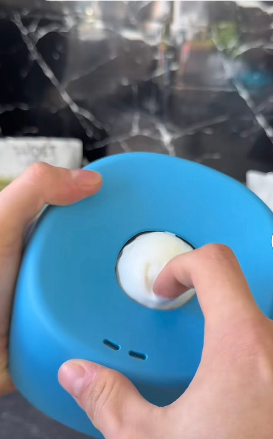 Customer photo review of Rolling Ball Lick Bowl - The Bestseller