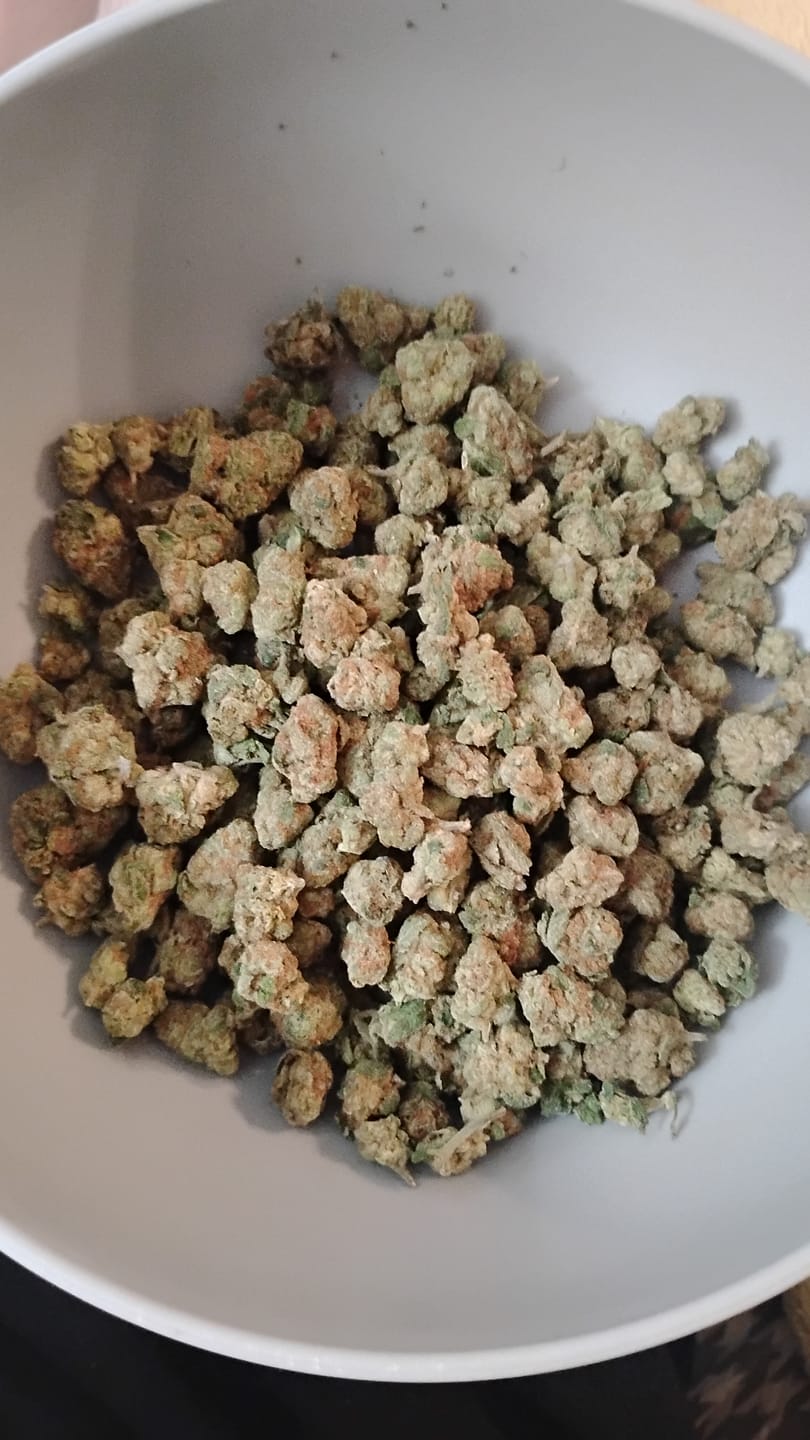 Customer photo review of Glitter Bomb Smalls - THCA Flower