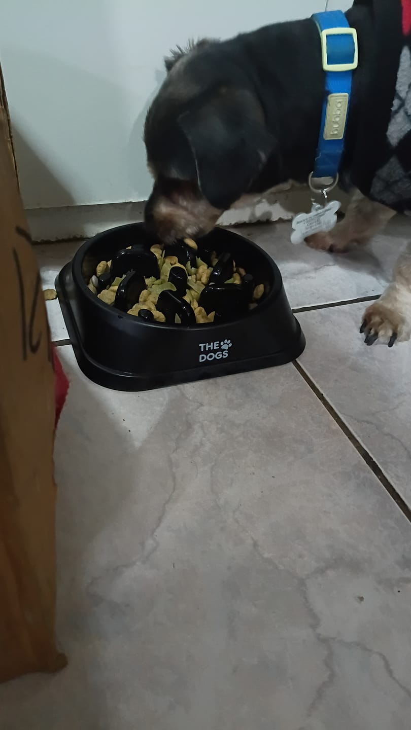 Customer photo review of Bowl Anti-Ansiedad THE DOGS
