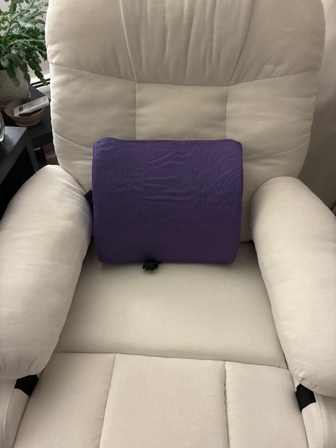 Customer photo review of Lumbar Support w Pocket