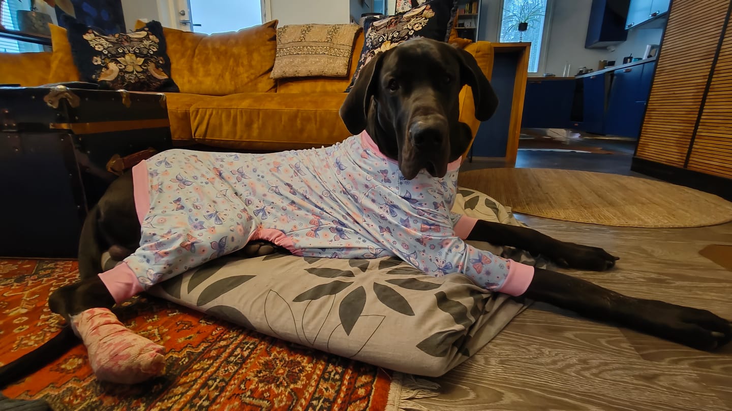 Customer photo review of Dog Pajama - Butterfly