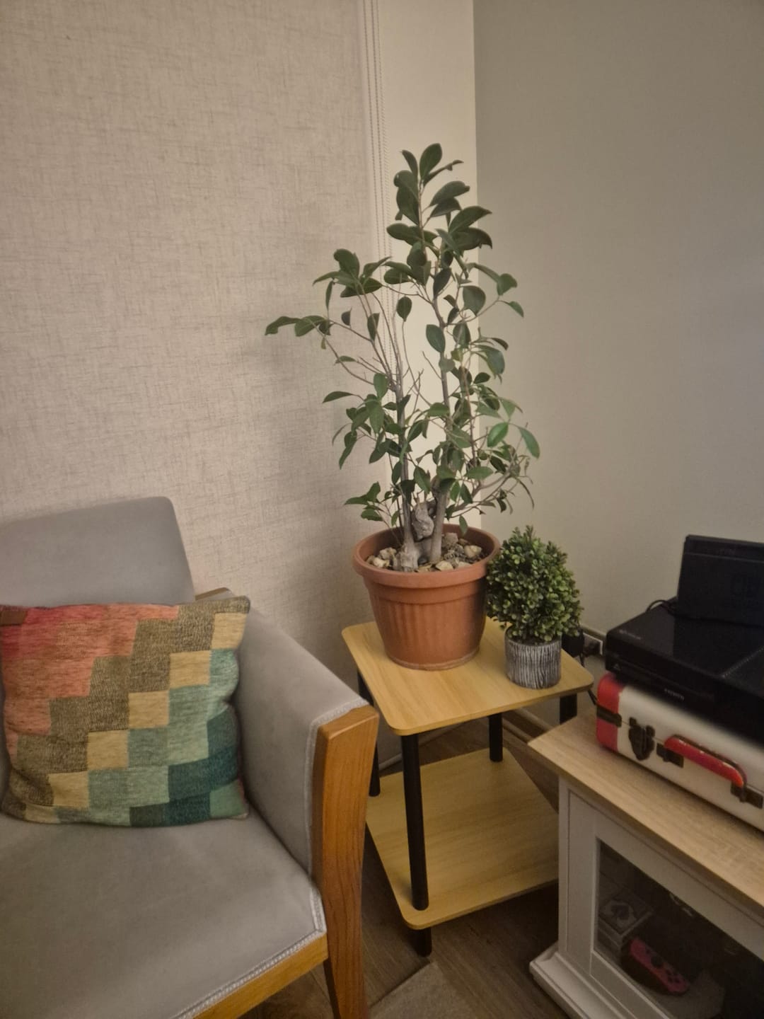 Customer photo review of Mesa De Noche Top Living Velador 2 Niveles De Bambú Brillante