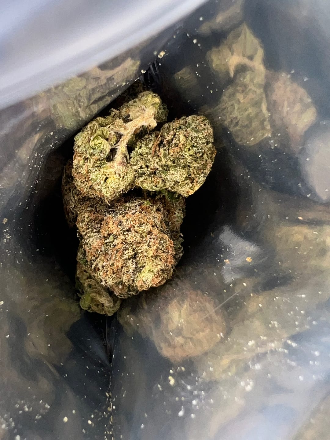 Customer photo review of Purple Push Pop -THCa Flower
