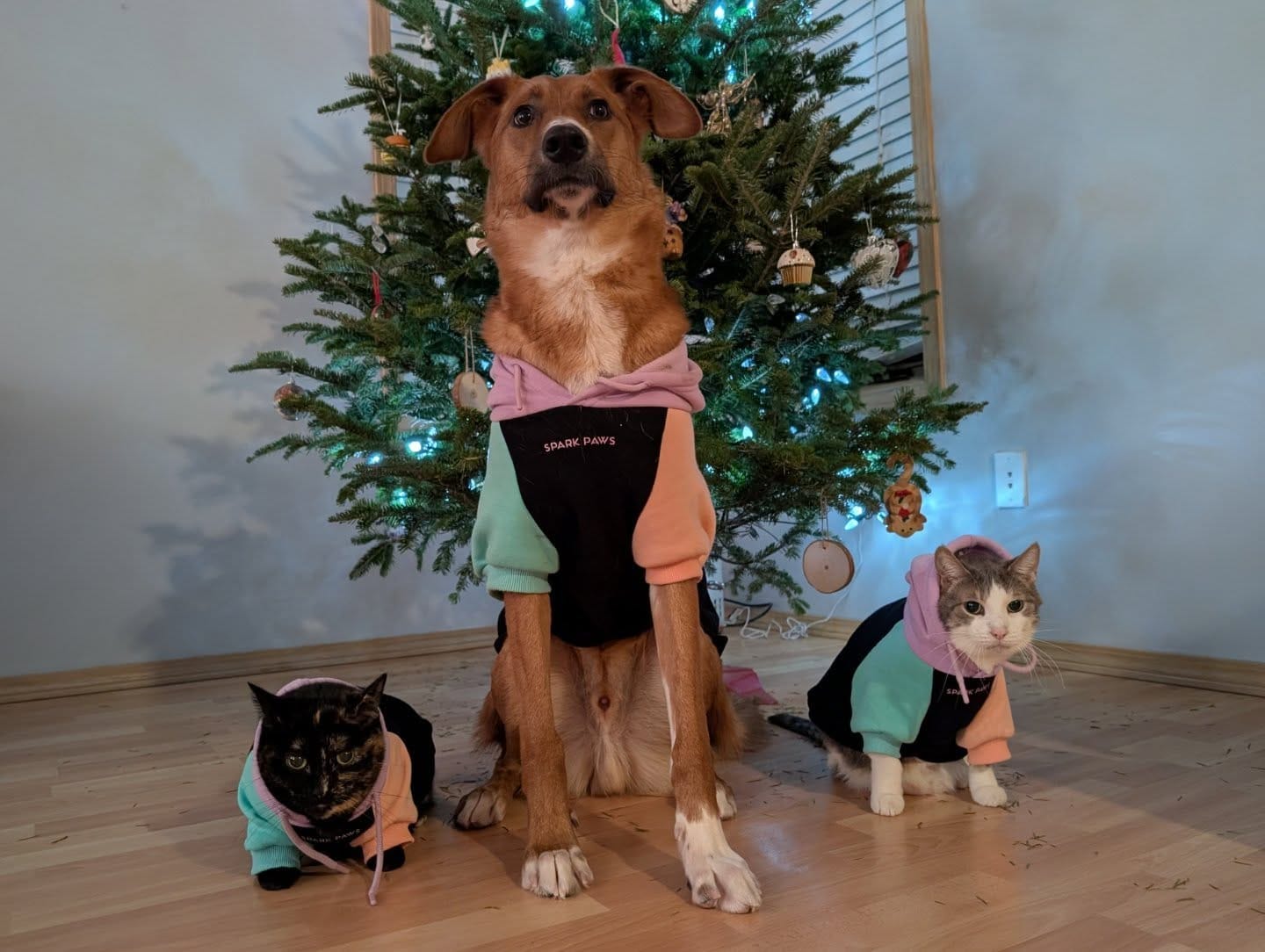 Customer photo review of Color Block Human Hoodies