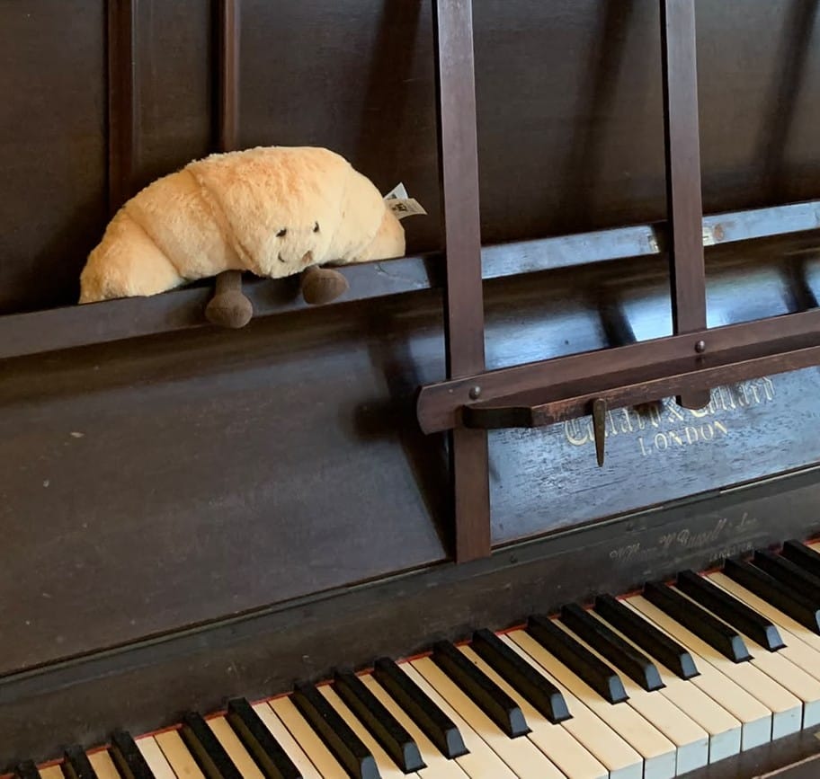 Customer photo review of Amuseables Croissant