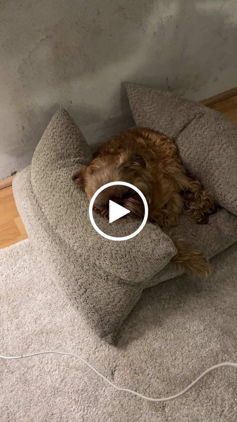 Customer video review of Cama Yoko Arena