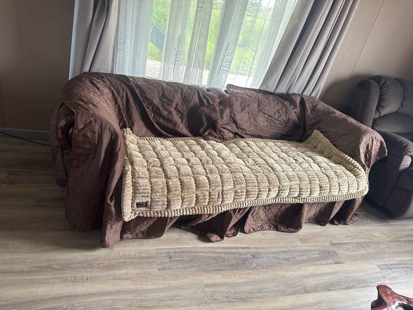 Customer photo review of Majestuoso · Protector Premium para Sofá