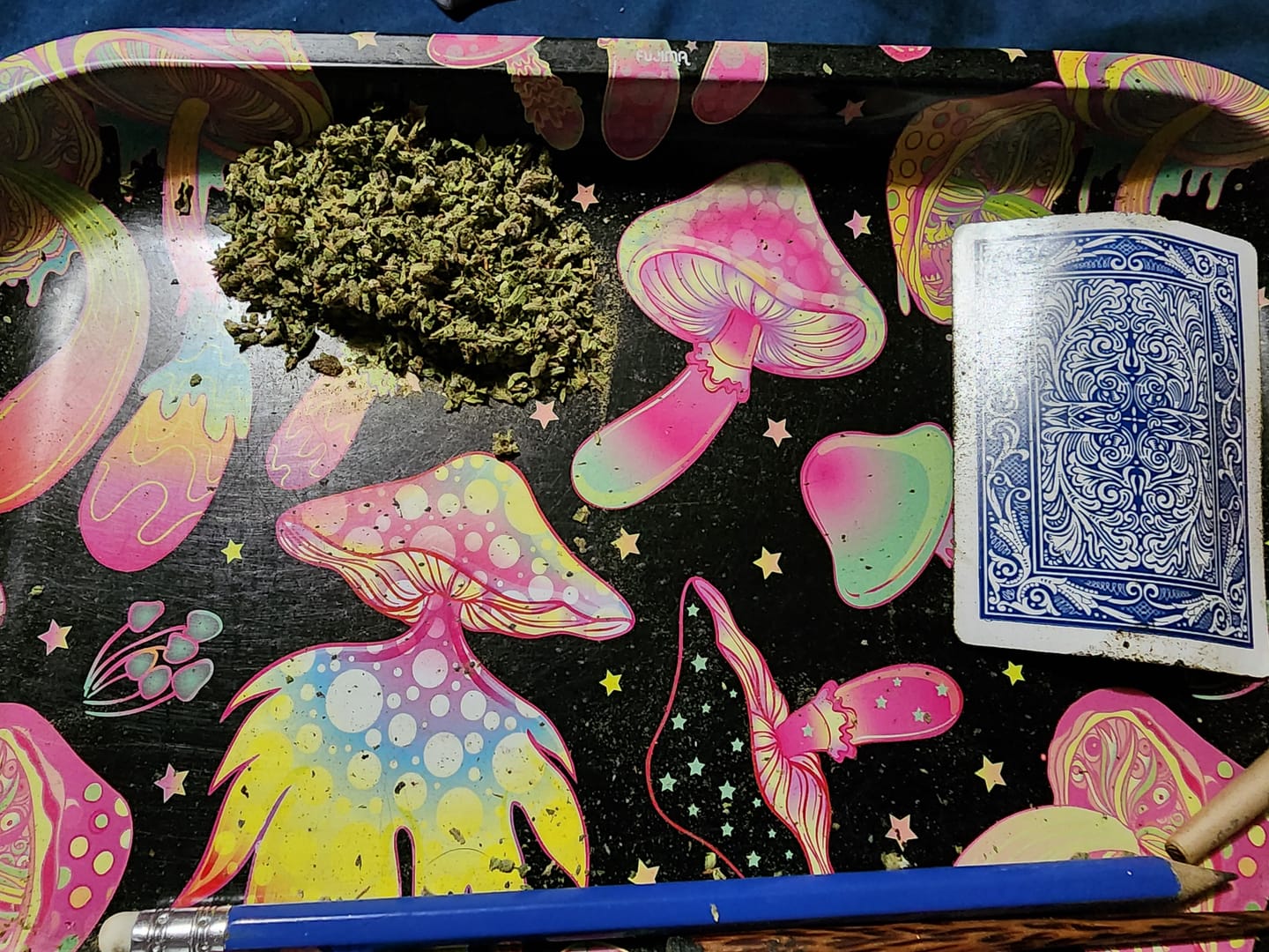 Customer photo review of LITTLES BRAND - Blueberry Belts - 28 Grams Littles - Indica