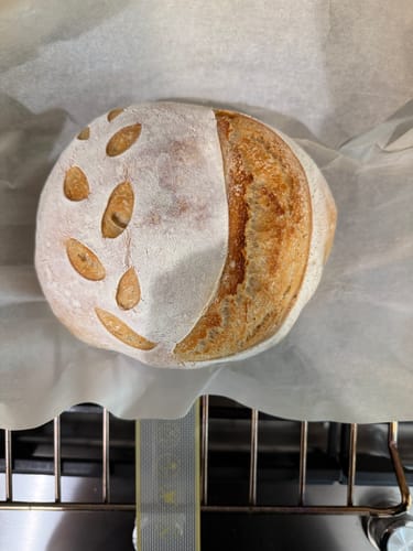 Customer photo review of Little Ranch Family’s LIVE Organic 119 Year Old Sourdough Starter & Recipes