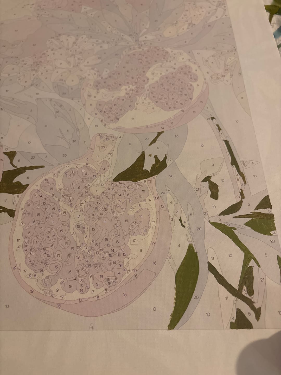 Customer photo review of Blooming pomegranates | Paint by Number