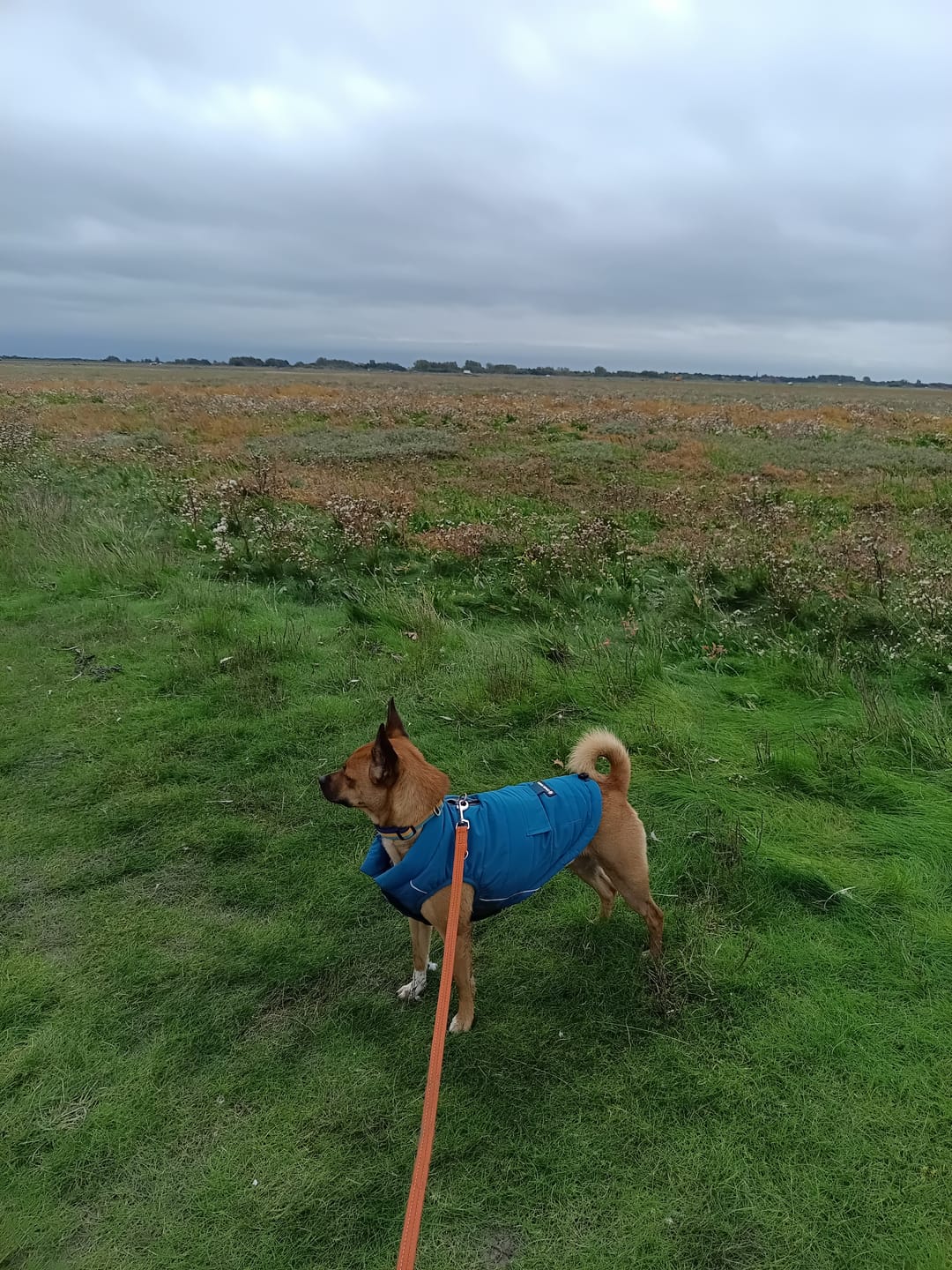Customer photo review of WarmShield Water-Resistant Jacket - Teal