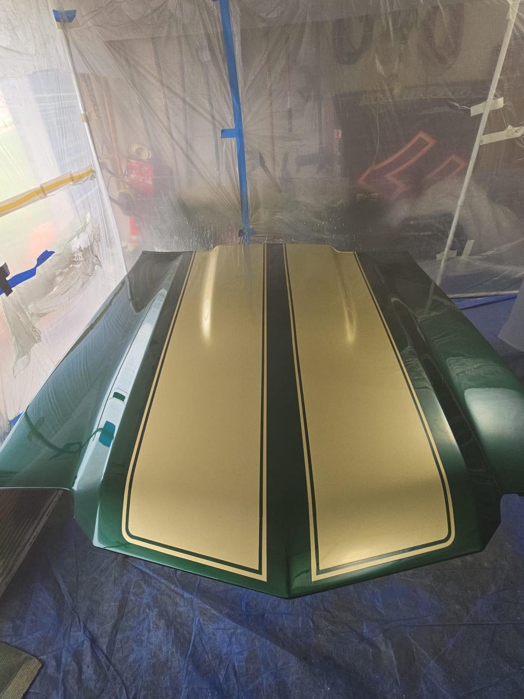 Customer photo review of Grove Green Paint Basecoat