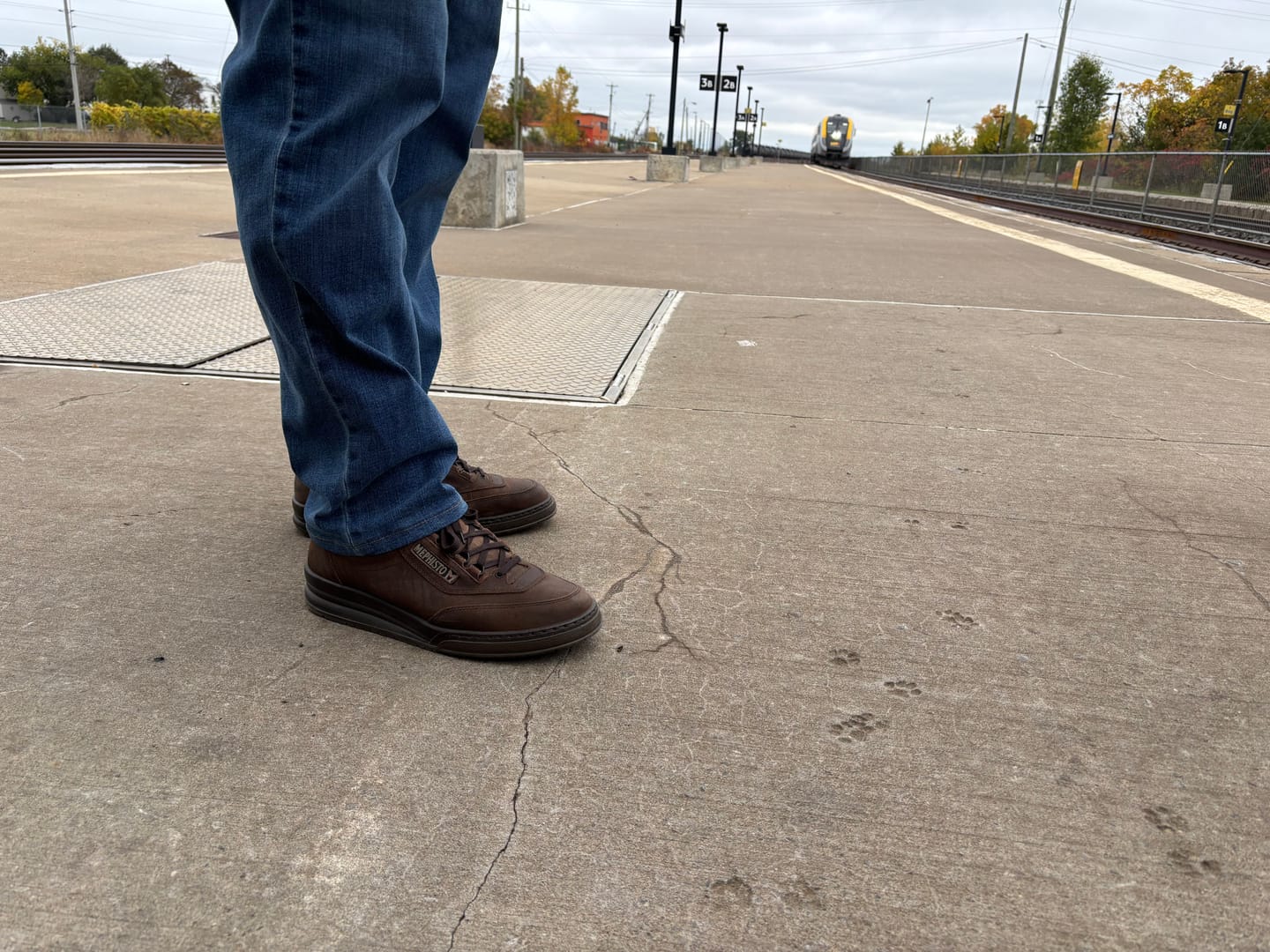 Customer photo review of Match - Hazelnut Velours