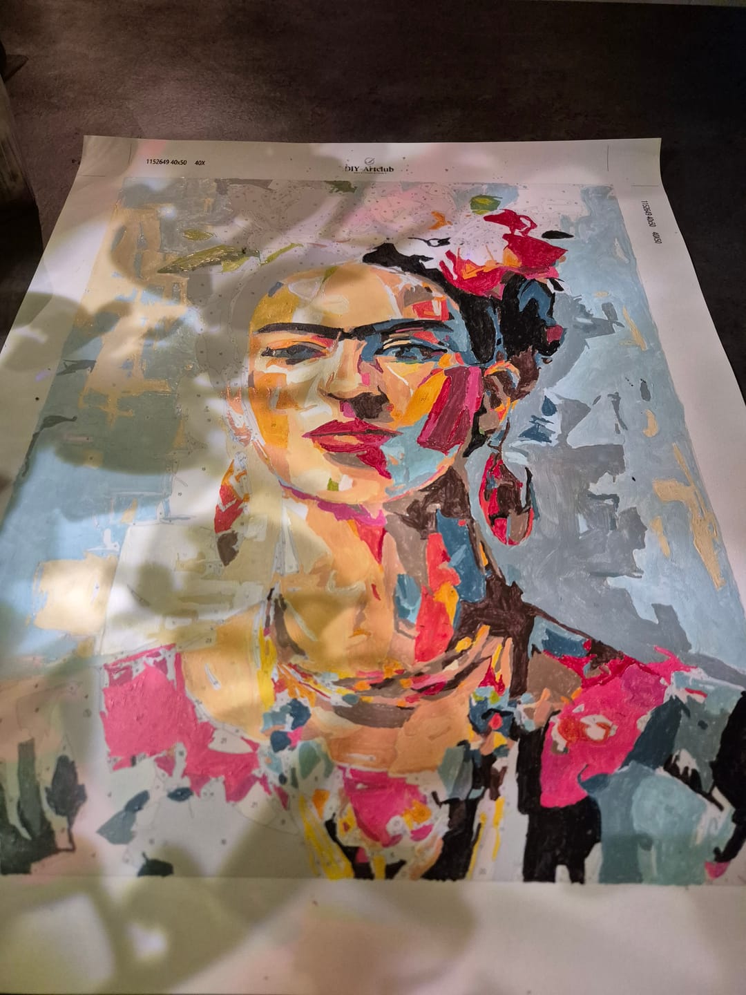 Customer photo review of Expressive Women - Paint by Numbers Bundle