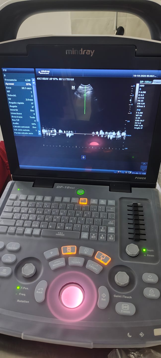 Customer photo review of Equipo de ultrasonido DP10VET para uso veterinario - Marca Mindray Animal Medical