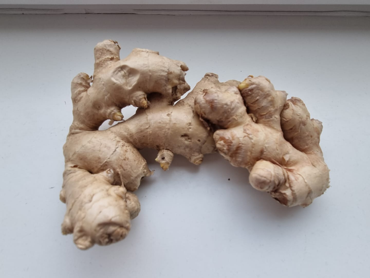Customer photo review of Ingwer Bio aus Peru (mit Schale verwertbar) Aktionspreis %
