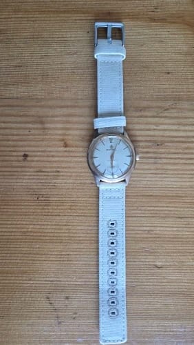 Customer photo review of Garmin 18/20/22mm Quick Release Stitched Canvas Nylon Band