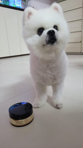 顧客的ProBiome狗狗益生菌軟粒包裝瓶，旁站著一隻白色波美拉尼亞犬。