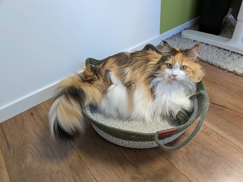 Kunden-Foto des Fellnest Katzenkorbs mit einer langhaarigen, dreifarbigen Katze, die bequem darin liegt.