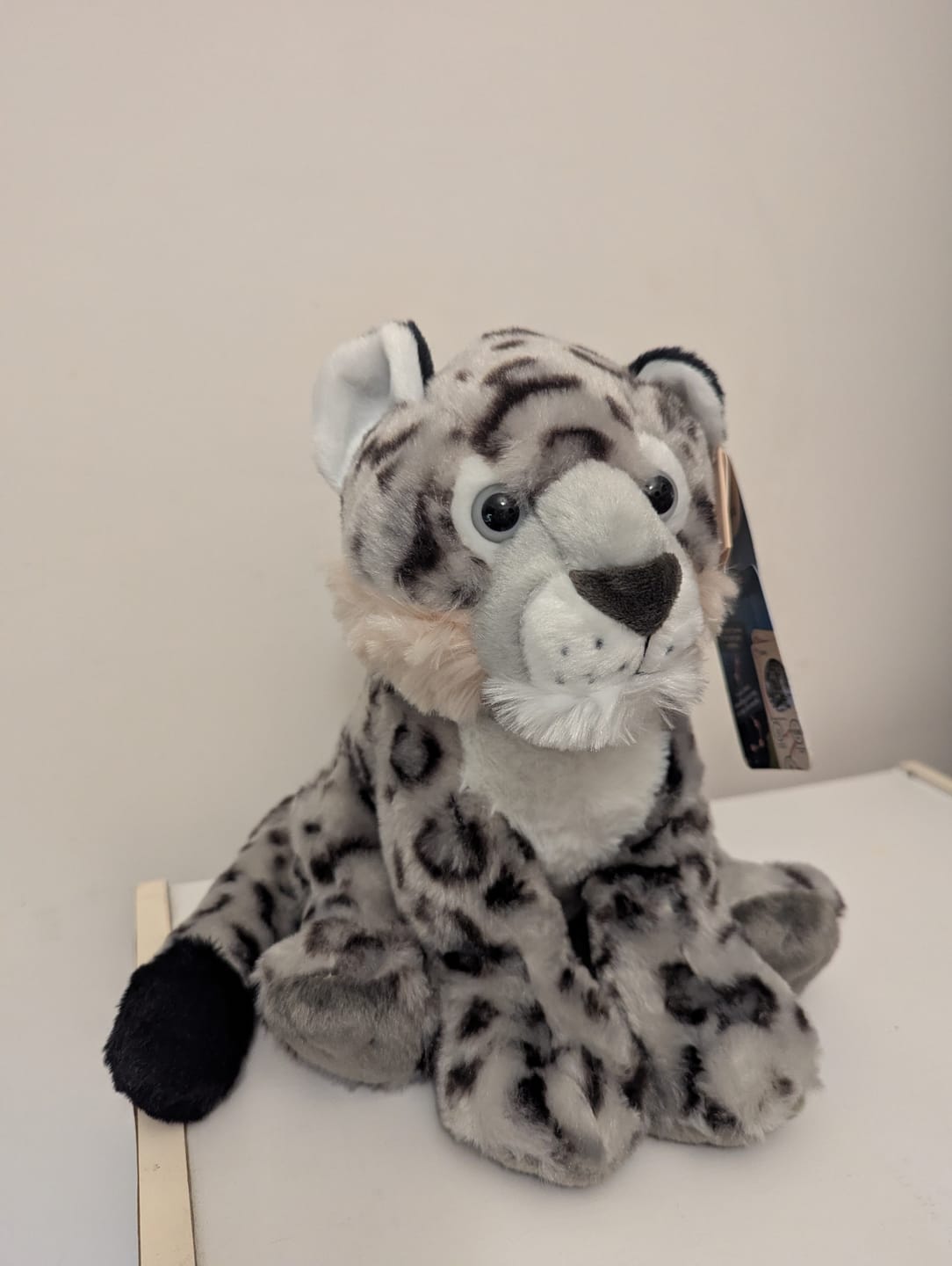 Customer photo review of The Ascent Plush