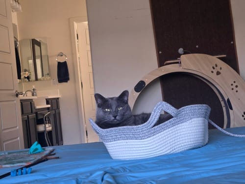 Customer photo review of Effico™ Handgeweven Krabmand voor Katten