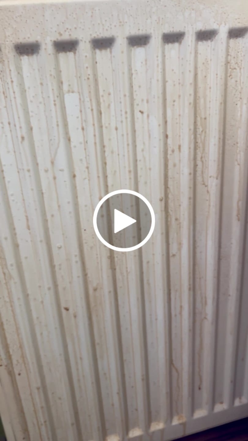 Customer video review of SMOKER - Nikotinreiniger
