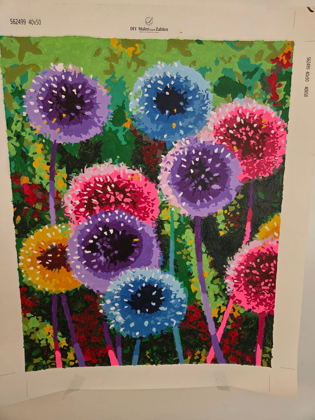 Customer photo review of Malen nach Zahlen - Bunte Pusteblumen
