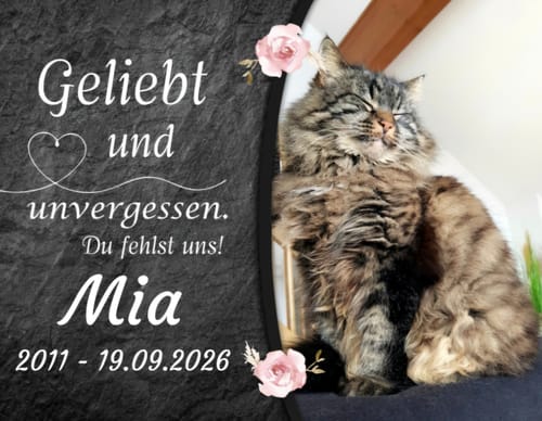 Customer photo review of Katzen Gedenktafel mit Foto & Spruch (UV- & Wetterfest)