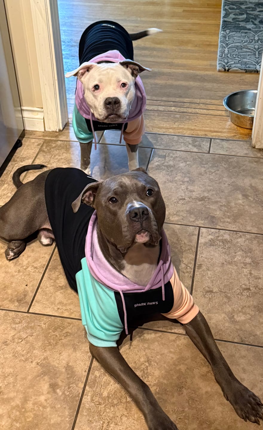 Customer photo review of Color Block Dog Hoodies