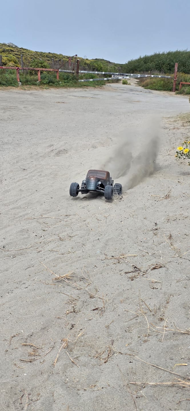 Customer photo review of RC Paddle Tires For RZ001