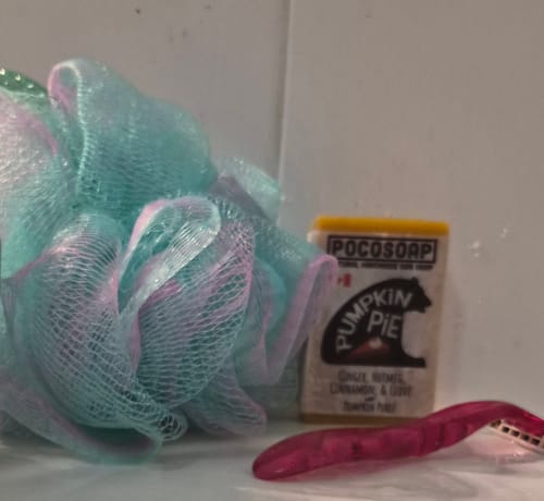 Customer photo review of Pumpkin Pie
