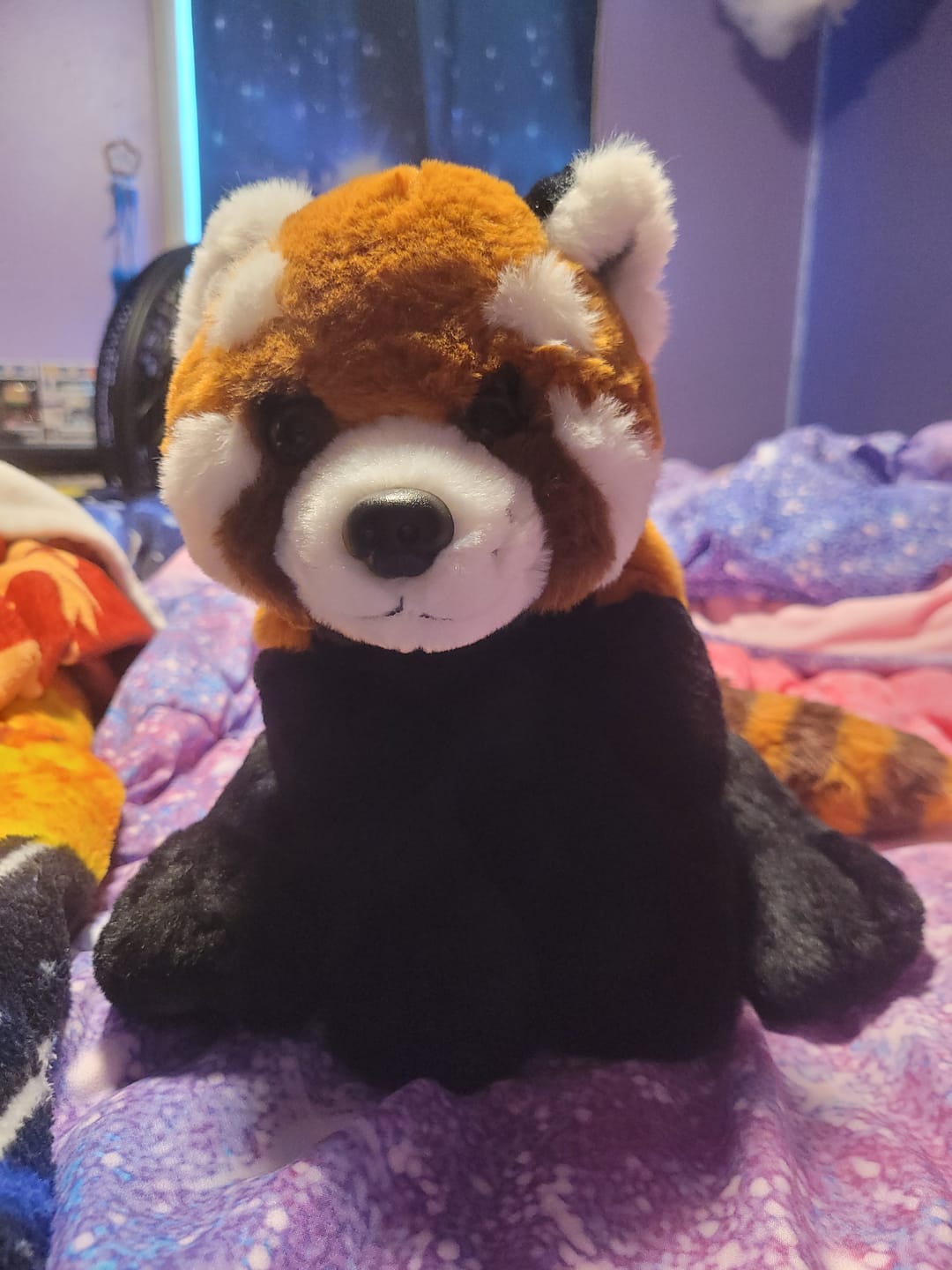 Customer photo review of The Dash Plush