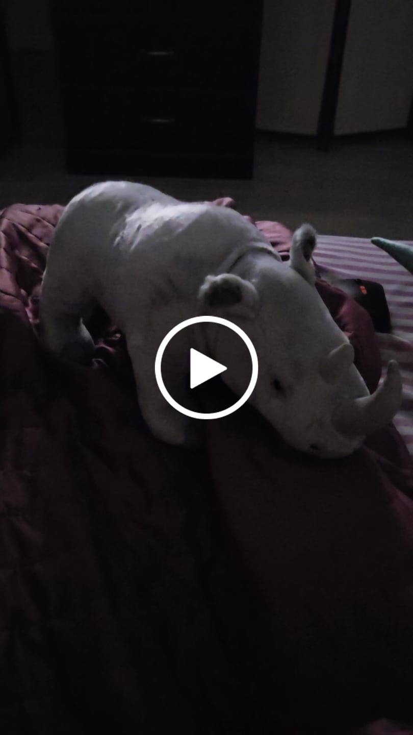 Customer video review of White Rhinoceros Soft Stuffed Plush Toy