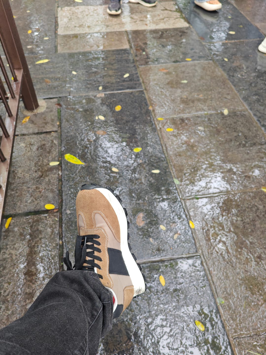 Customer photo review of Sentry - 9cm (3.5")