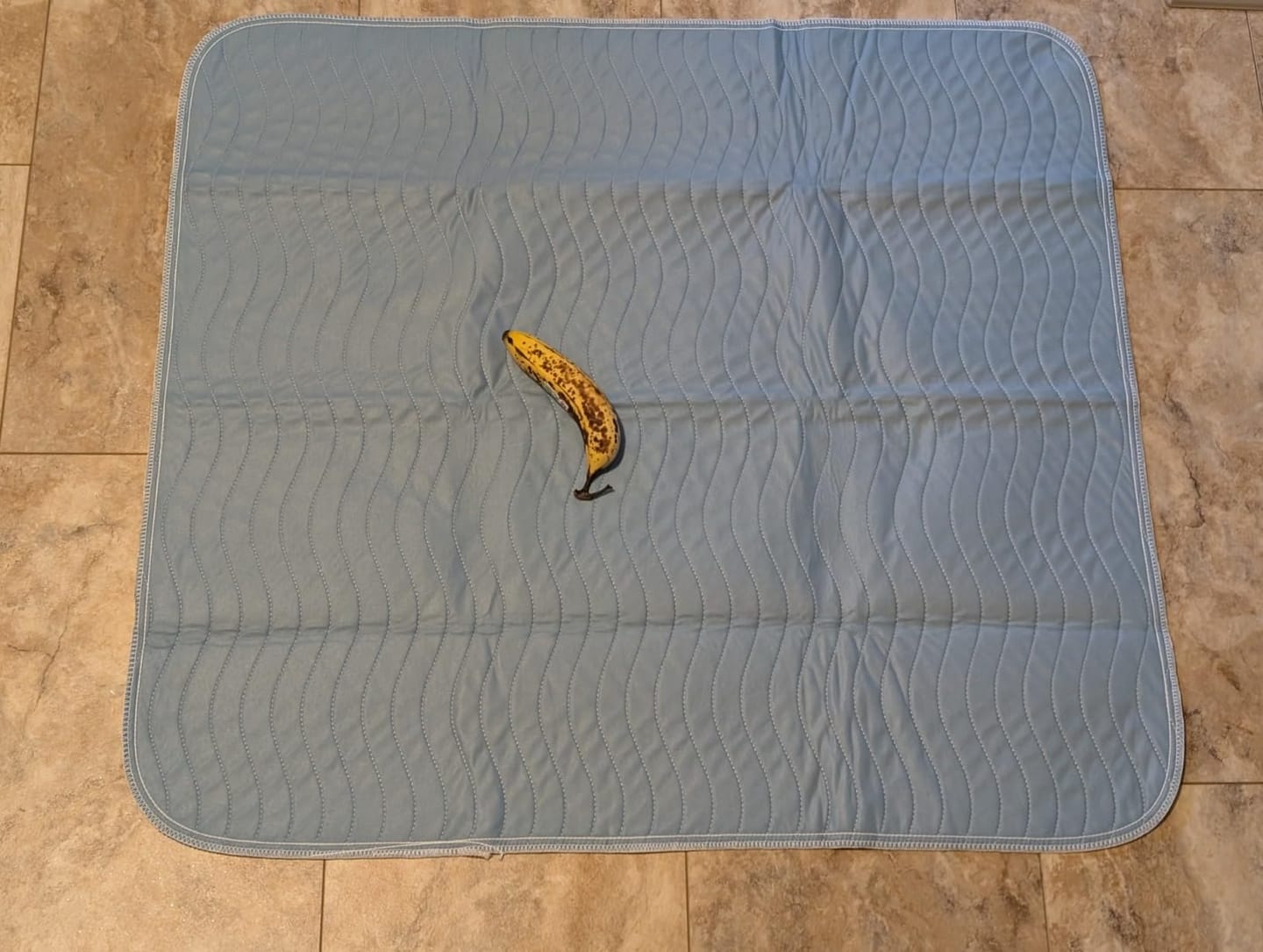 Customer photo review of Washable Reusable Bed Pads for Incontinence (34" x 36")