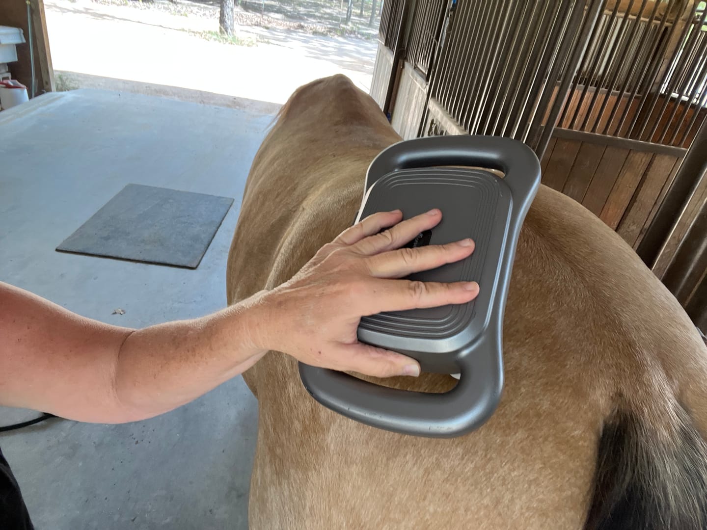 Customer photo review of HorseHalo™ 8 Heads Red Light Massage Gun