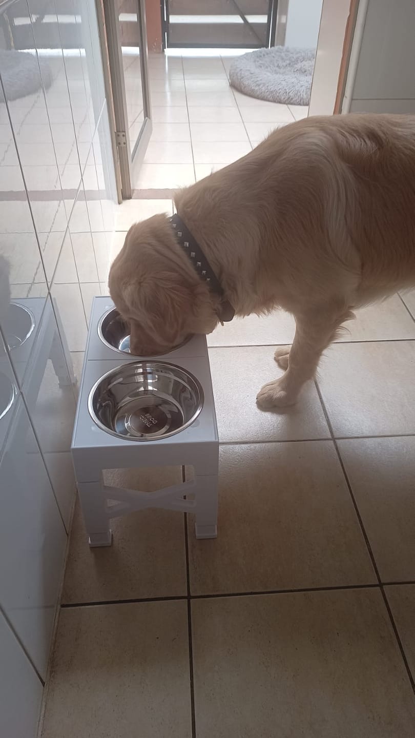 Customer photo review of Comedero Elevado THE DOGS Postura correcta en cada comida