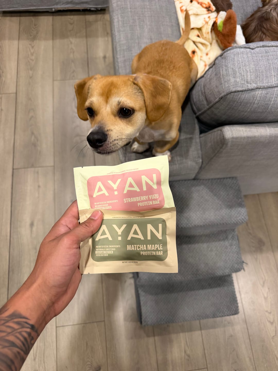 Customer photo review of TASTING SET