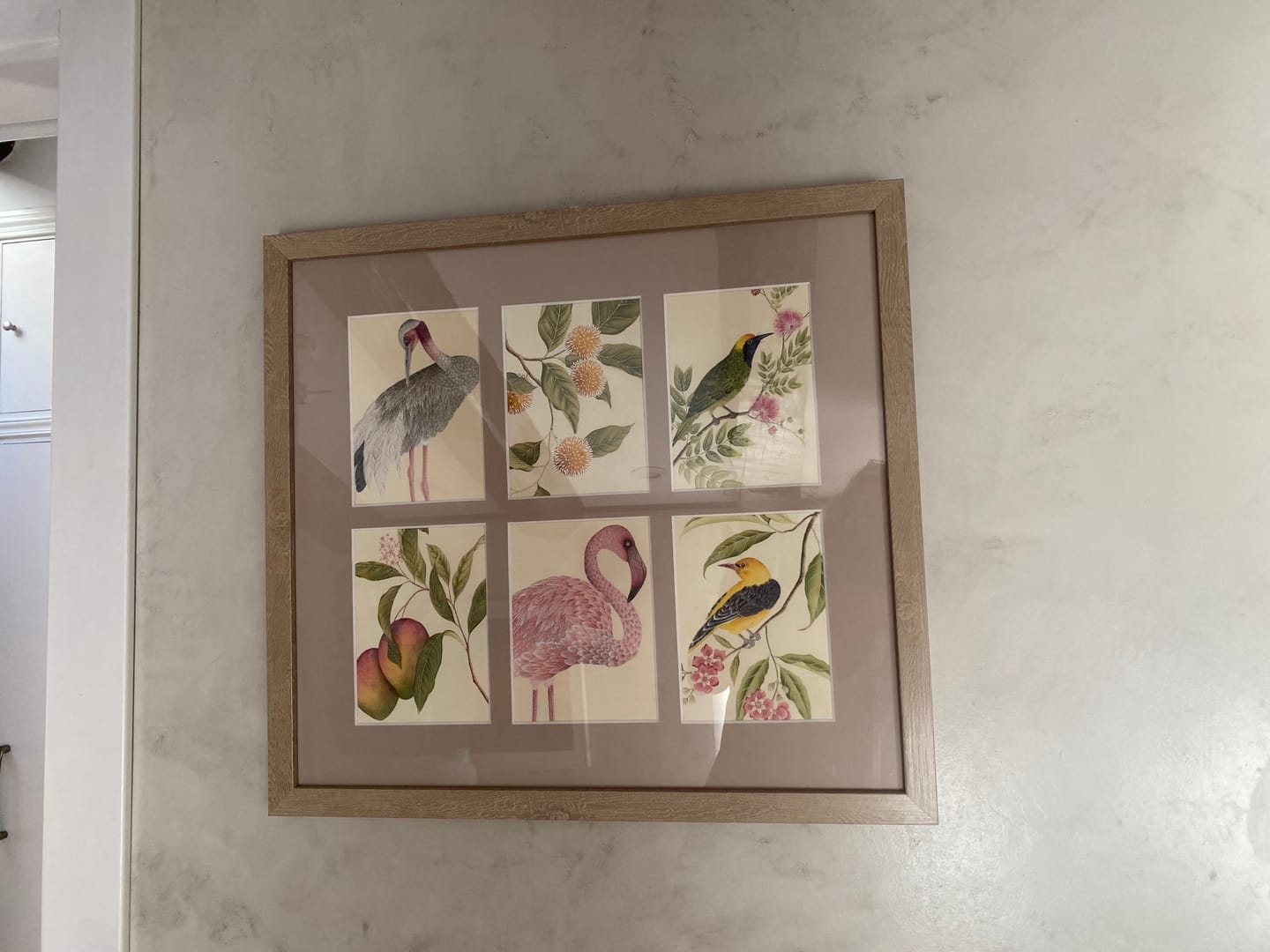 Customer photo review of Botanical Mini Art Prints - Set Of 6