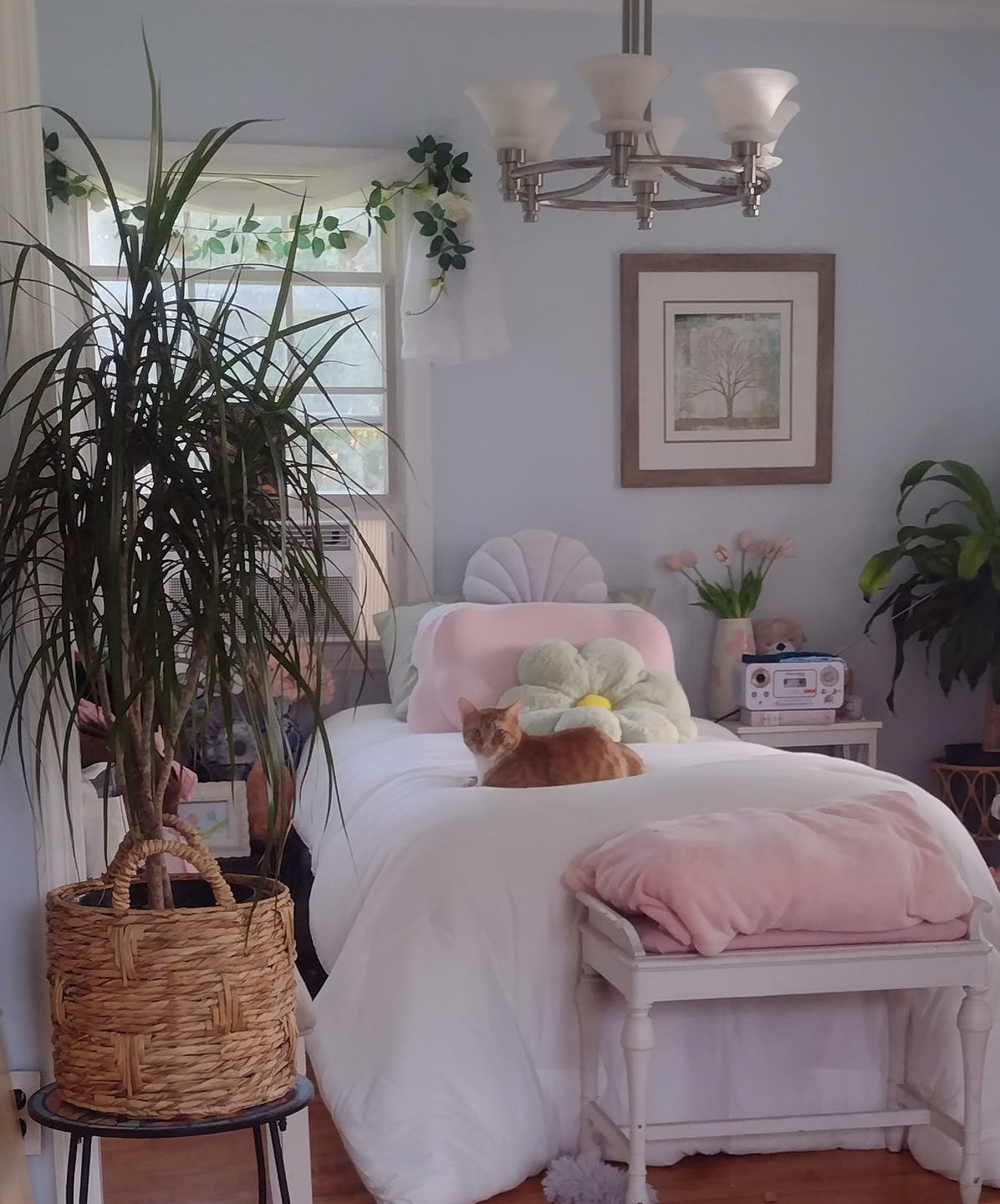 Customer photo review of MarshMellow Comforter