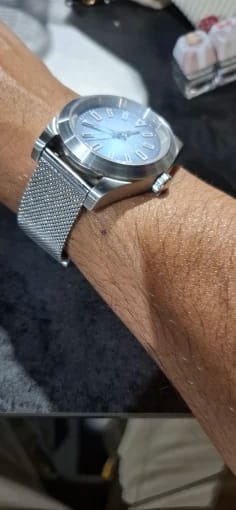 Customer photo review of Garmin 18/20/22mm Quick Release Milanese Mesh Band